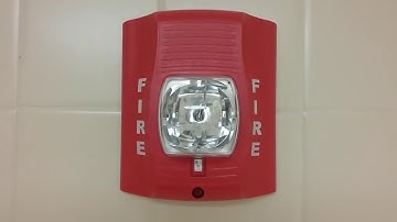 System Sensor SR SpectrAlert Advance Fire Alarm Strobe