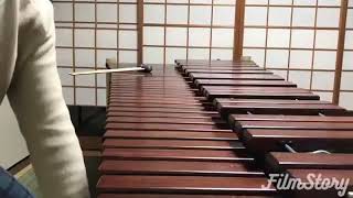 ‏هذه آلة موسيقية من عائلة الآلات النقرية تسمى marimba مفاتيحها مرتبة مثل ترتيب البيانو ؛نشأت الماريم