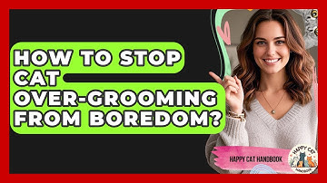 How To Stop Cat Over-Grooming From Boredom? - Happy Cat Handbook