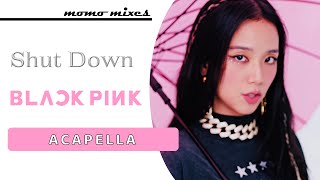 BLACKPINK - Shut Down (Clean Acapella)