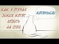 КАК Я ОТУЧАЛ КОТЯТ ЛАЗИТЬ НА СТОЛ 💬КОТОМЫСЛИ!💬