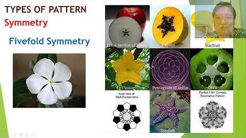 Patterns and Numbers in Nature and the World part 1