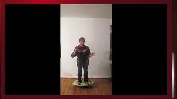 Sensorimotor Integration