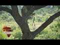 🐘 Last-Minute Kruger Escape | Marloth Park Family Stay