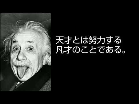 100以上 アインシュタイン 名言 天才 あなたにとって興味深い壁紙の言葉