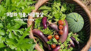 видео: АНГЛ | Защита рассады во время самого сильного ливня в истории⛈️ Когда я чувствую, что превратила... картинка: АНГЛ | Защита рассады во время самого сильного ливня в истории⛈️ Когда я чувствую, что превратила...