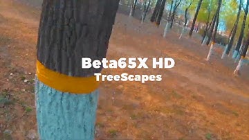 Episode 3: Beta65X HD Treescapes