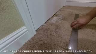 How To Patch Carpet In A Doorway (Business Promo - Time Lapse)