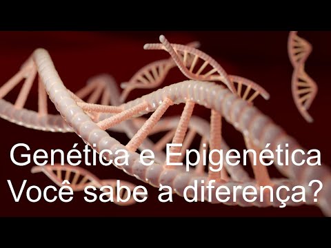 Vídeo: Diferença Entre Genética E Epigenética