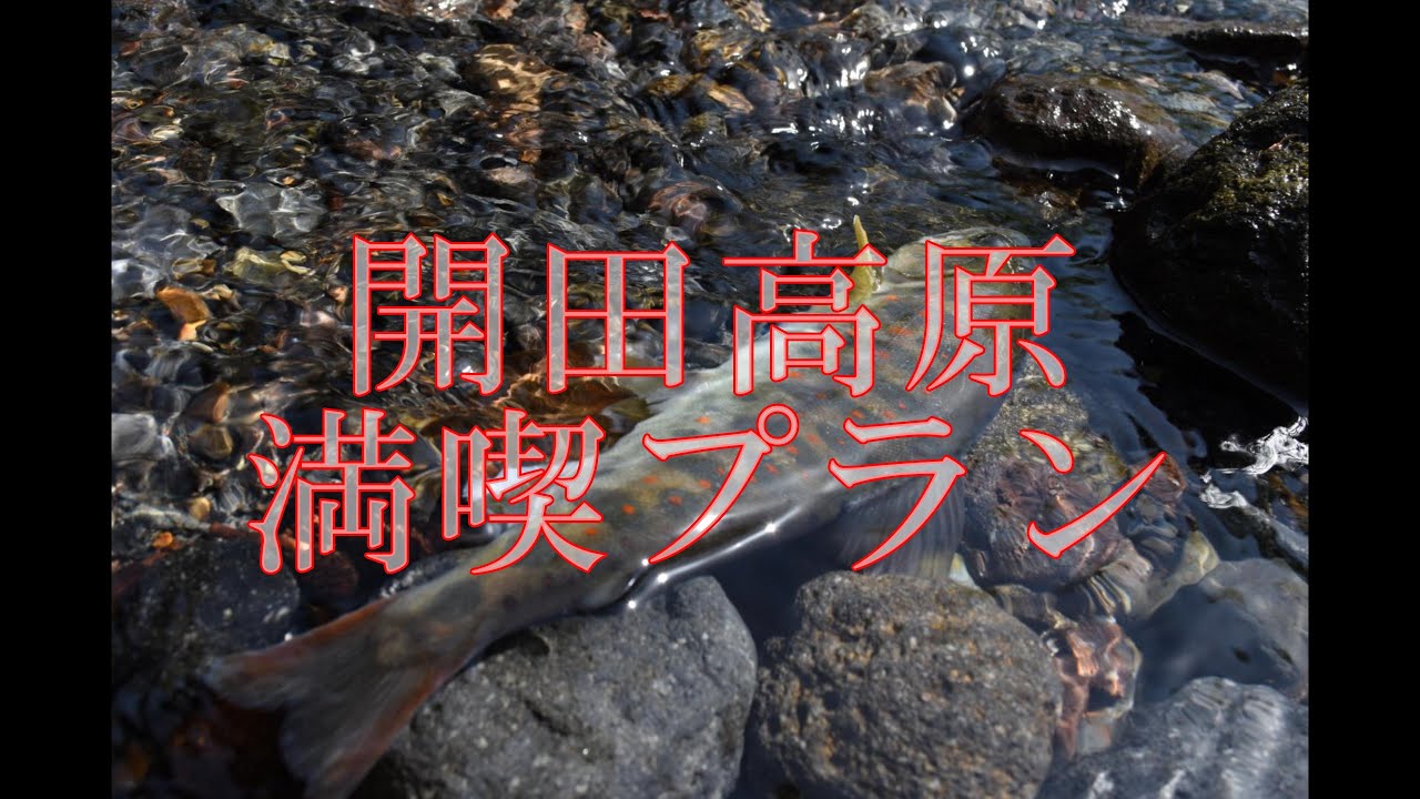 開田高原満喫プラン