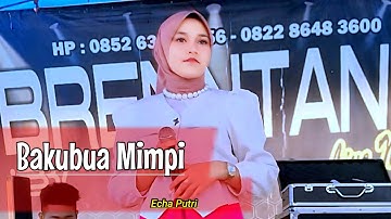 Pop Minang Orgen Tunggal - Bakubua mimpi || Echa Putri - Valent Channel