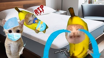BANANA CAT 🍌🐱 GELUKKIG EN 😿 HUILEN (10 MINUTEN) VIDEO