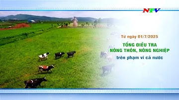 Trailer Tổng điều tra nông thôn, nông nghiệp năm 2025 | NTV