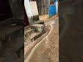Din Bhar Bhar Ghumte Raho 🌧️Ek Bar Tabiyat 😵💫Kharab hui To Khel Khatam 😂