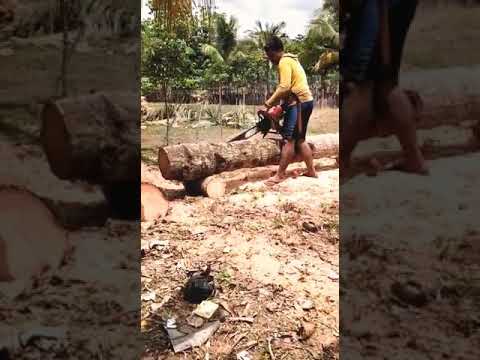 Olah kayu kelapa tekhnik garpu tanam mesin tua 