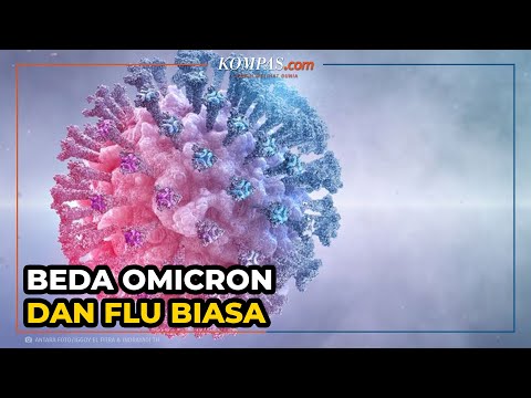 Sangat Mirip, Ini Perbedaan Gejala Varian Omicron dengan Flu Biasa