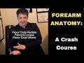 Pianokeys academy  a crash course on forearm anatomy and why you should care