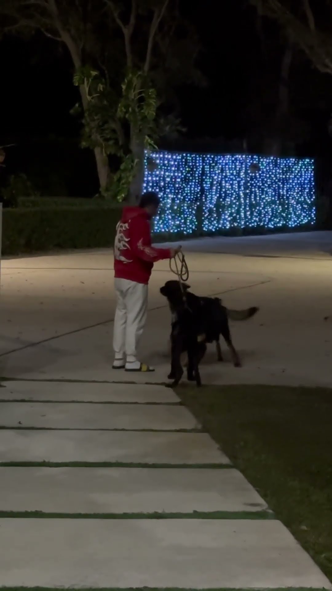 Dad makes dogs get along with new puppy #shorts