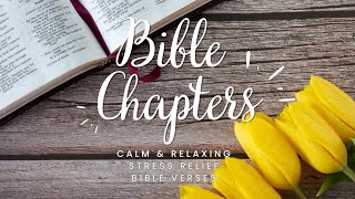 Proverbs 3 New Living Translation | NLT | The Book of Proverbs Bible Inspiration