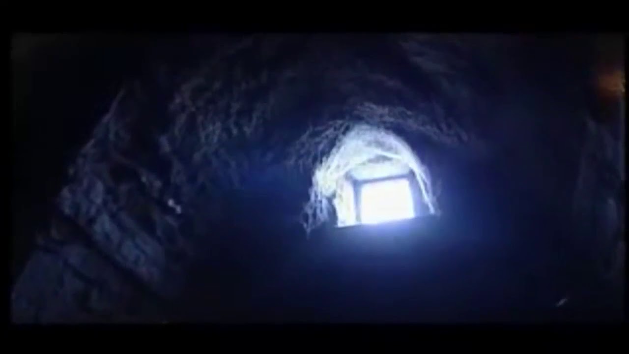 Stone Age Ireland Timeline