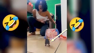 New Funniest Animal Videos 2024 Funny Animals Compilation #2024 by Yuppy Pets 11 views 3 months ago 14 minutes, 15 seconds