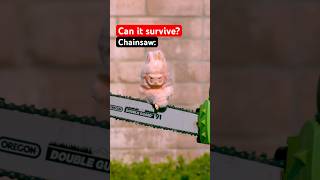 What Destroys A Labubu?