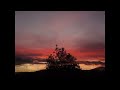 We belong to the night - Ellen Foley