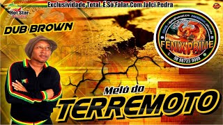 Melô Do Terremoto - Dub Brown Uma Verdadeira Pedra ( Reggae )