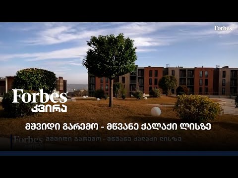 მშვიდი გარემო - მწვანე ქალაქი ლისზე