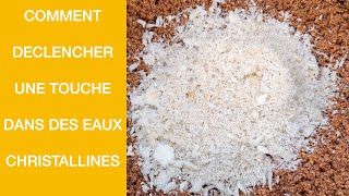 Comment Déclencher Une Touche Dans Des Eaux Cristallines 4K