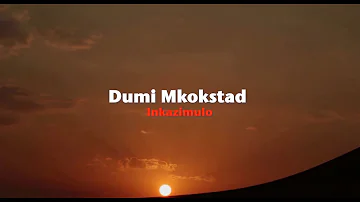 Dumi Mkokstad – Inkazimulo (Official Lyric Video)