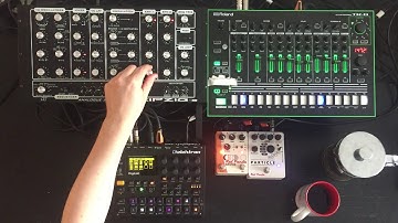 Not The Usual - Digitakt, Leipzig, TR8, Dominion 1, Particle and Rasta
