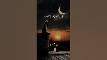 استخدموا الصوت ❤️🩹🎧 القارئ عبد الرحمن مسعد #