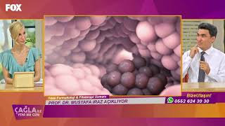 Prof. Dr. Mustafa IRAZ FOX TV'de Hangi Kanser Türlerinde Fitoterapi Kullanılabilir Anlatıyor