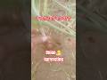 ये खेती हमारे बाप की है #viral