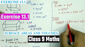Exercise : 13.1 | Chapter 13 Surface Area And Volumes Class 9 Maths NCERT