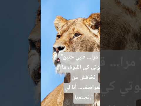 مهما كان واقفة ديما