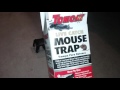 Tomcat tip mouse trap review