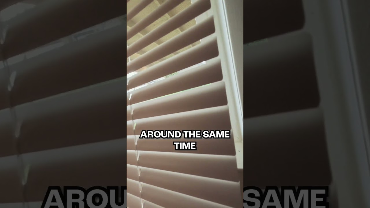 Home Remodel Disaster or Real Estate WIN? Tacoma Buyer Finds Out!