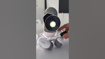 Clicbot Angry #short #ai #artificialintelligence #robot #technology #robotics #incredible