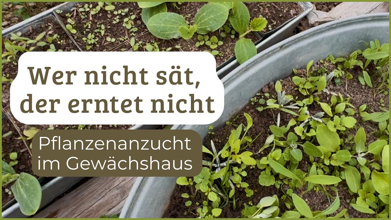 Wer nicht sät, der erntet nicht | Pflanzenzucht im Gewächshaus | Erste große Aussaat 2026