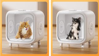 Top 5 Pet Dryer Boxes for 2025 – The Ultimate Guide!