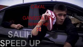 Cakal - Gangsta Li̇fe Speed Up