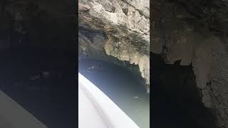 video 20231226 113624