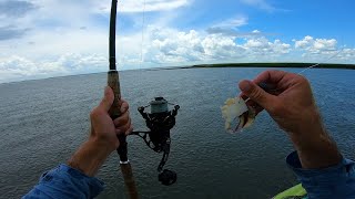 Didn't Expect This! Fishing For Whatever Is Biting Beaufort SC