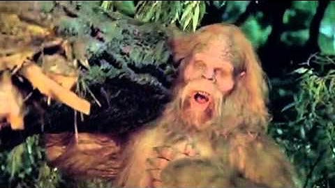 New Messin with Sasquatch Commercial   Alternate Campfire   Chair Pull 05