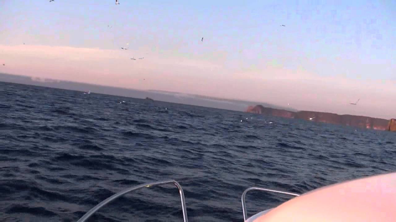 SOUTH EAST TASMANIA TUNA FISHING YouTube