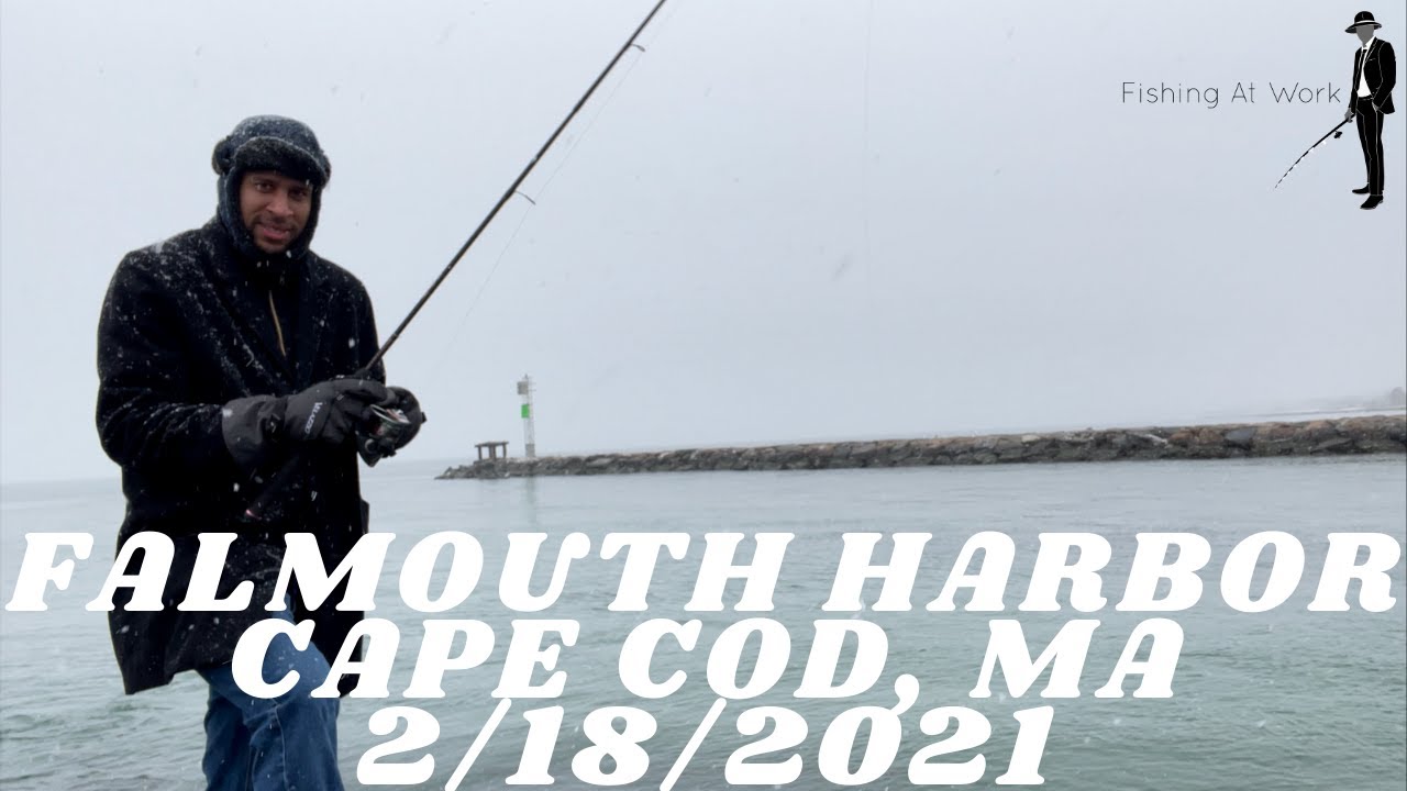 Falmouth Harbor Falmouth MA Striper Fishing 2/18/2021 YouTube