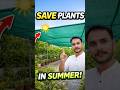 How I Protect Rooftop Plants from 45°C Heat 🌿Save Plants in Summer 🌞 | 75% Shade Net Rooftop Garden