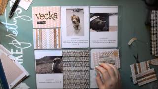 Project Life week 13